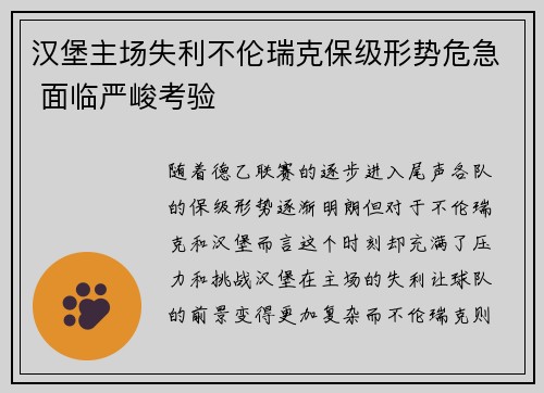 汉堡主场失利不伦瑞克保级形势危急 面临严峻考验