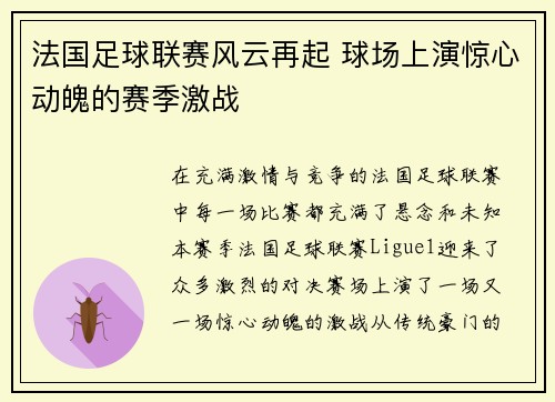 法国足球联赛风云再起 球场上演惊心动魄的赛季激战